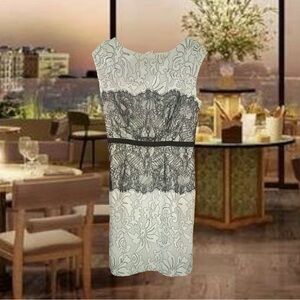 The Limited Scandal Collection Lace Overlay Dress - Black and White Size 4.